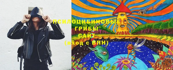 винт Арсеньев