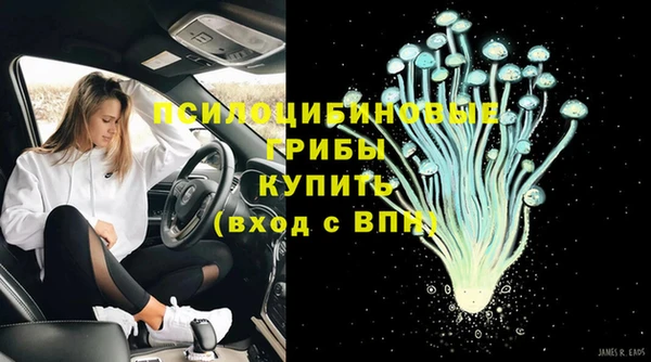 дживик Армянск