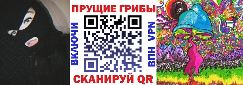 Купить  Уржум  Галлюциногенные грибы Psilocybine cubensis 
